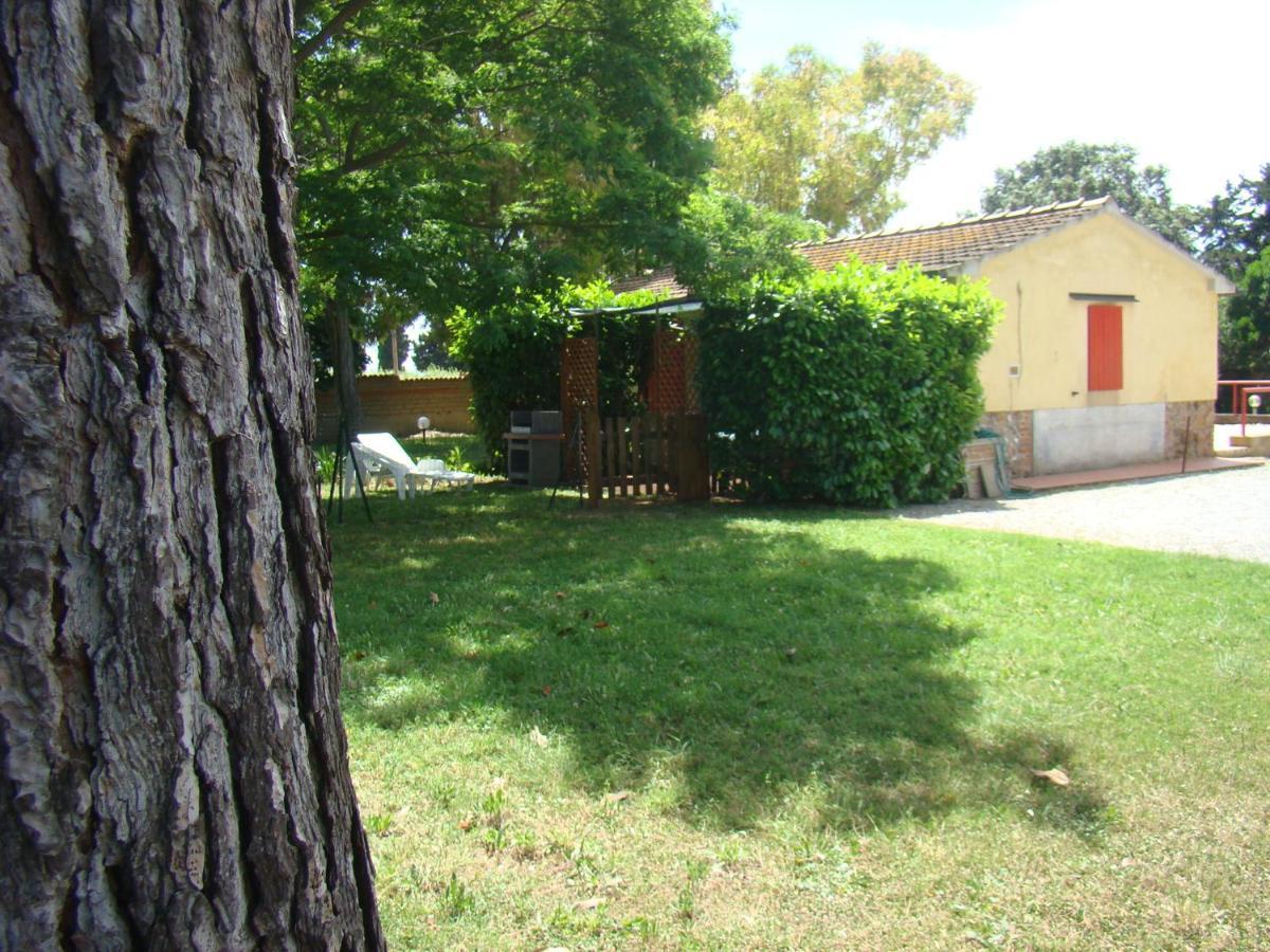 Casa Vacanze Guardamare San Vincenzo Exteriör bild