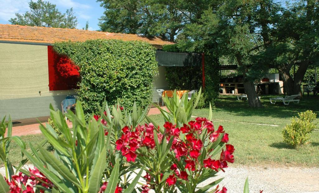 Casa Vacanze Guardamare San Vincenzo Rum bild