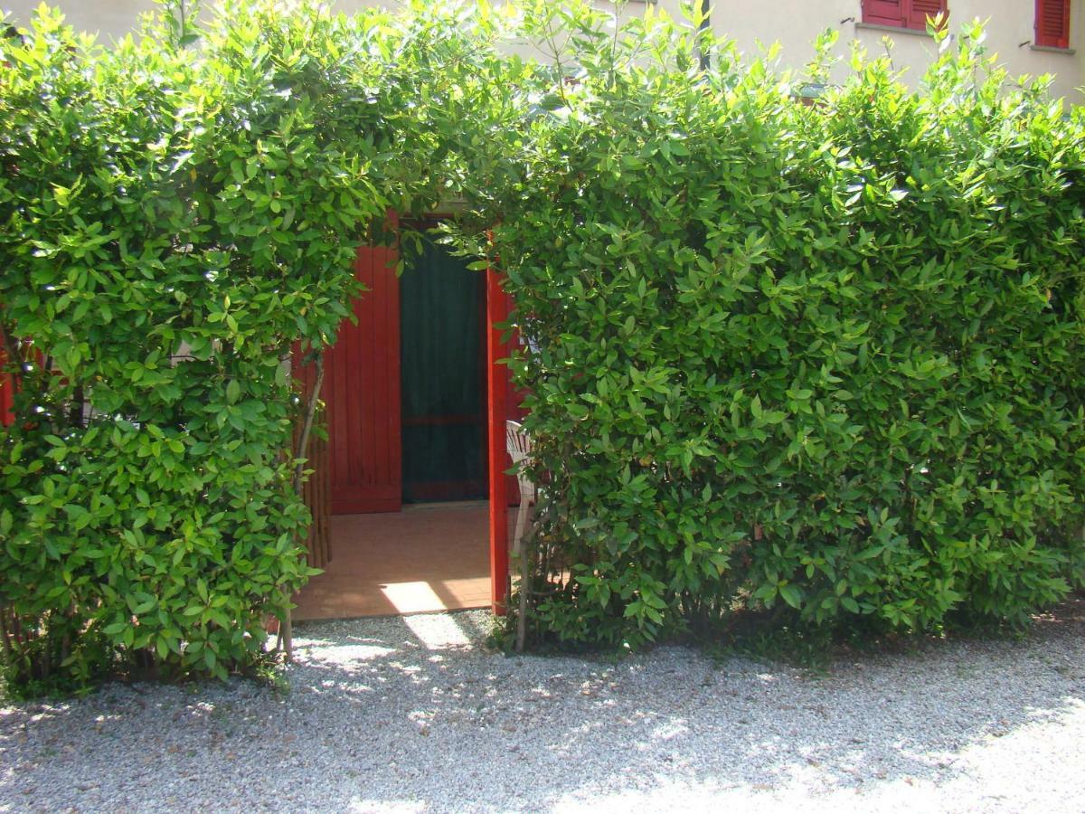 Casa Vacanze Guardamare San Vincenzo Exteriör bild