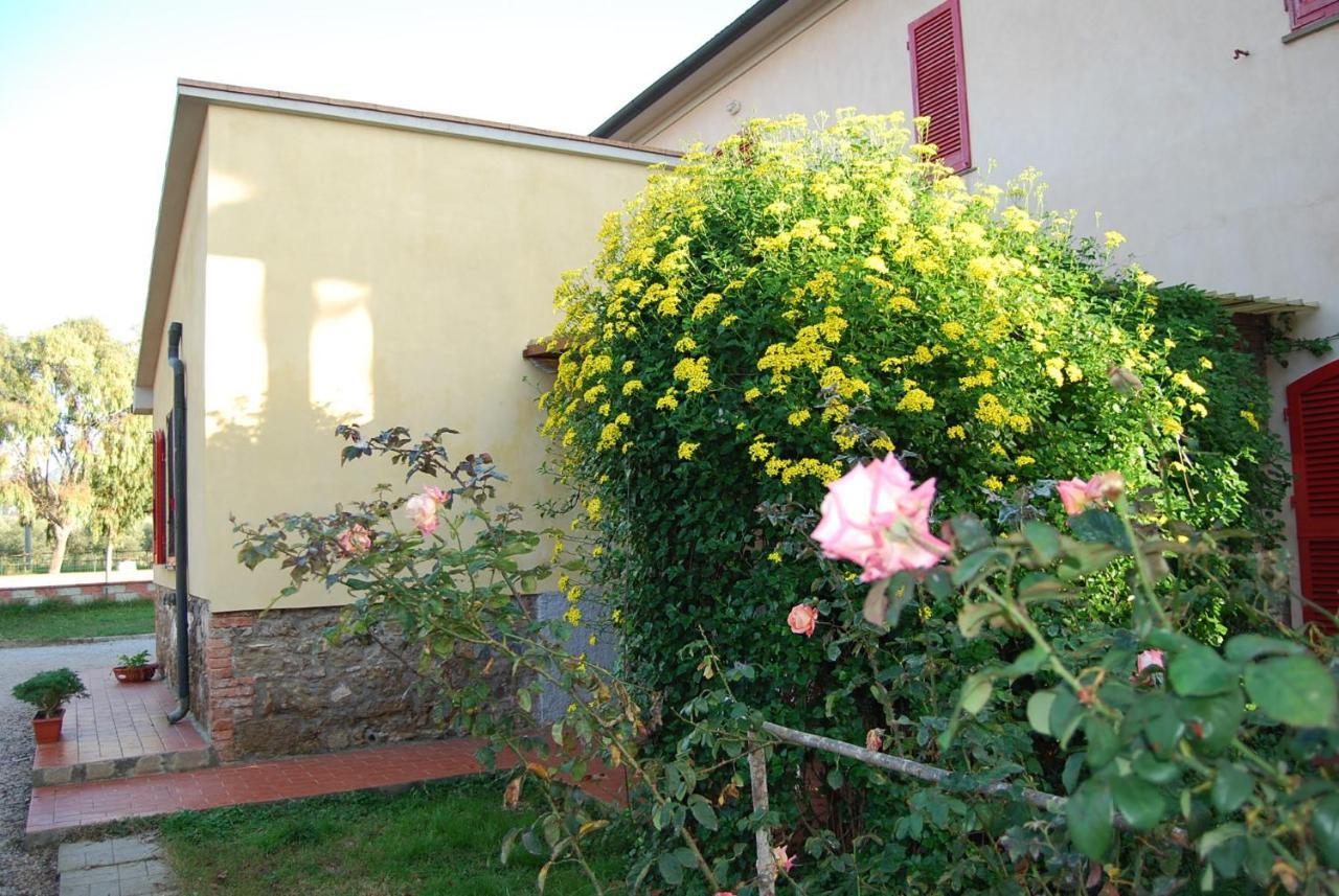 Casa Vacanze Guardamare San Vincenzo Exteriör bild